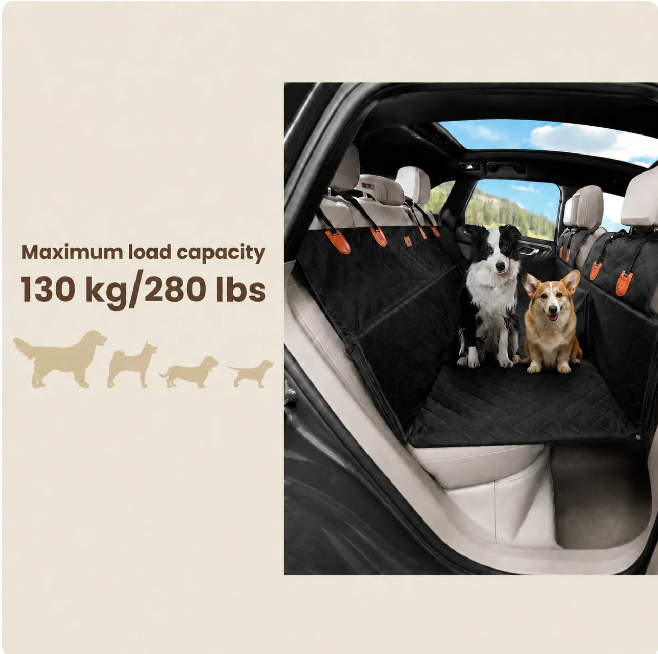 PawniMates 2.0 in use